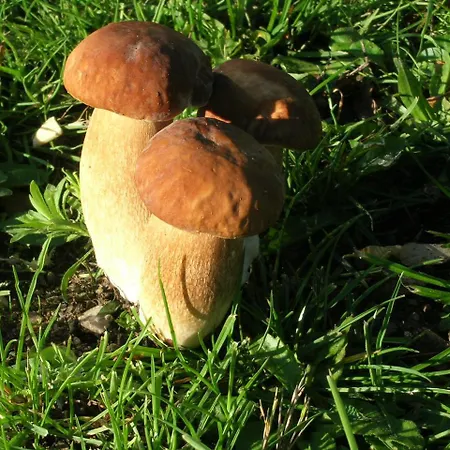 Le Relais Du Coustoubi Hotel 2*