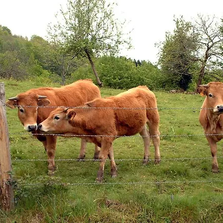 Hotel Le Relais Du Coustoubi