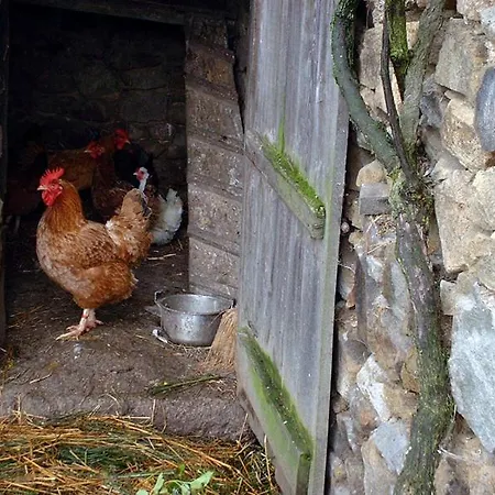 Le Relais Du Coustoubi 2* Campouriez