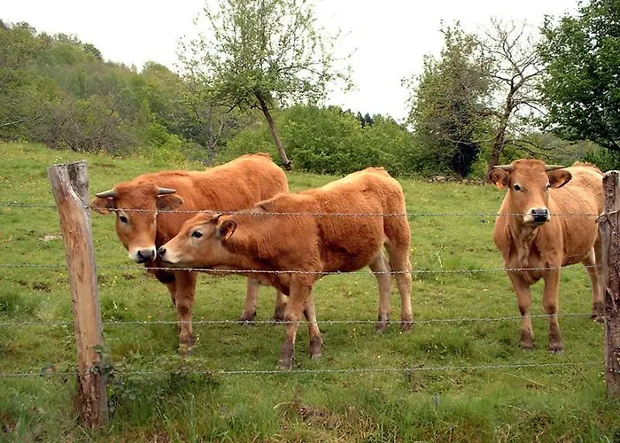 ホテル Le Relais Du Coustoubi