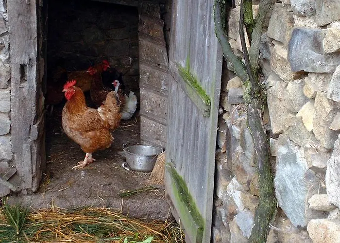 Le Relais Du Coustoubi 2* Campouriez